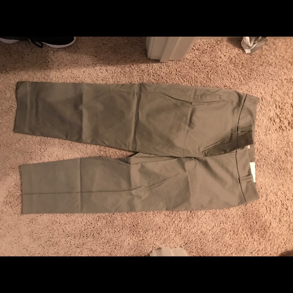 Loft Julie Crop pant